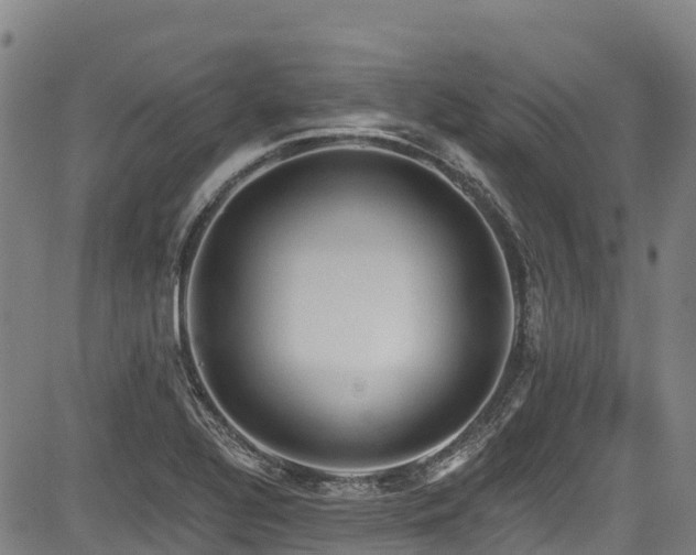 X0000084051320200702161457