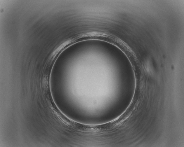 X0000084051321200702161457