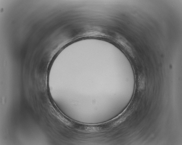 X0000084051322200702161457