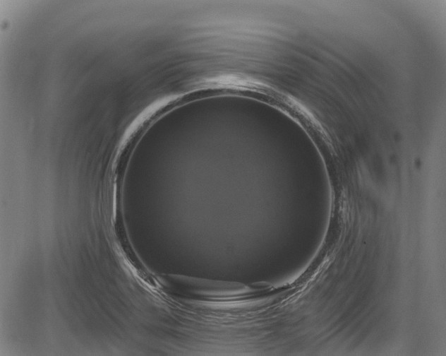 X0000084051323200702161457