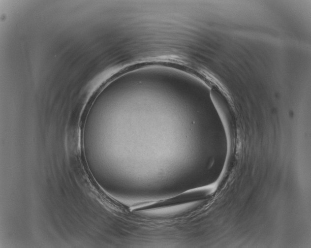 X0000084051324200702161457