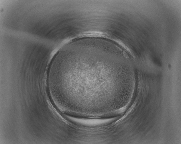 X0000084051325200702161457