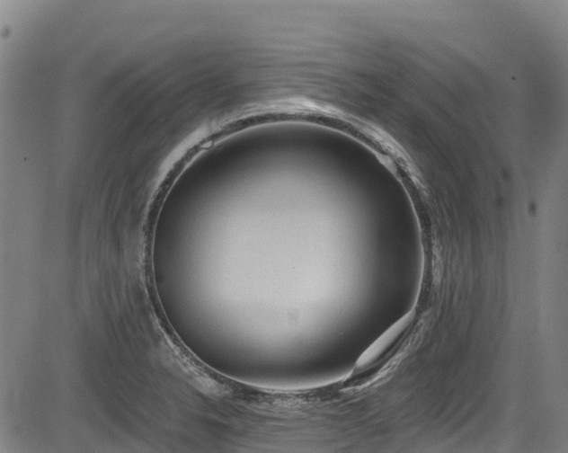 X0000084051326200702161457