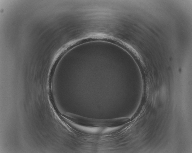 X0000084051327200702161457