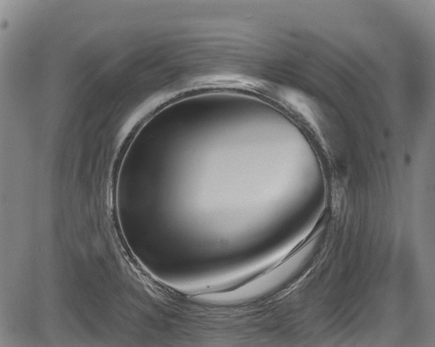 X0000084051328200702161457