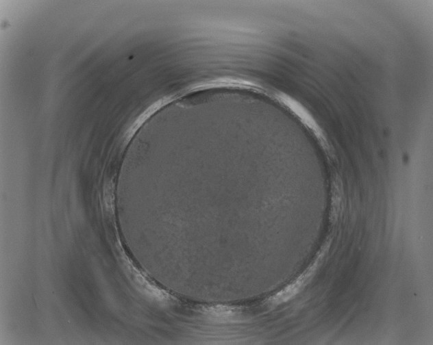 X0000084051329200702161457