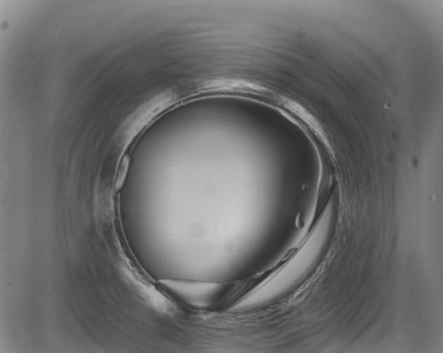 X0000084051330200702161457