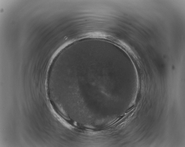 X0000084051331200702161457