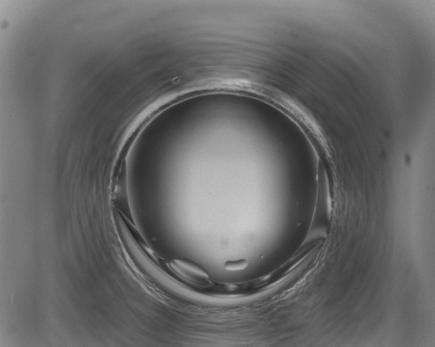 X0000084051332200702161457