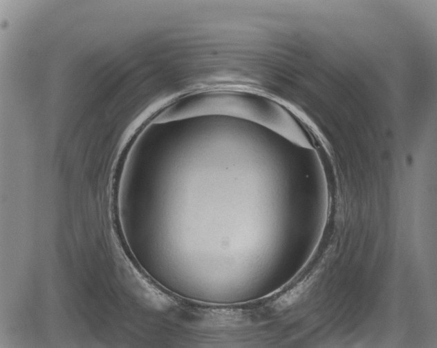 X0000084051333200702161457