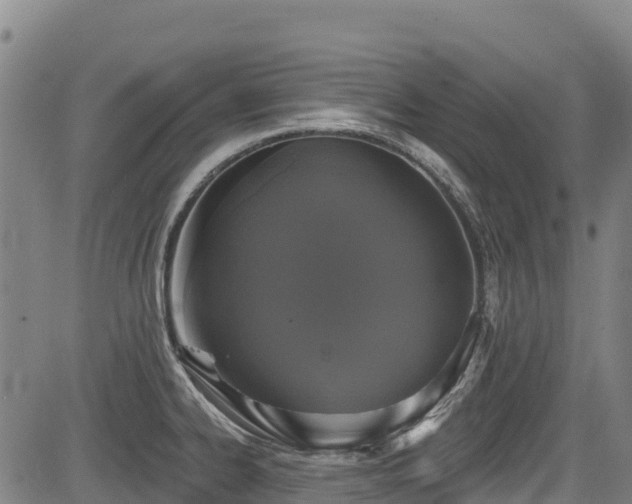 X0000084051334200702161457