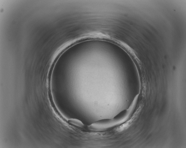 X0000084051335200702161457