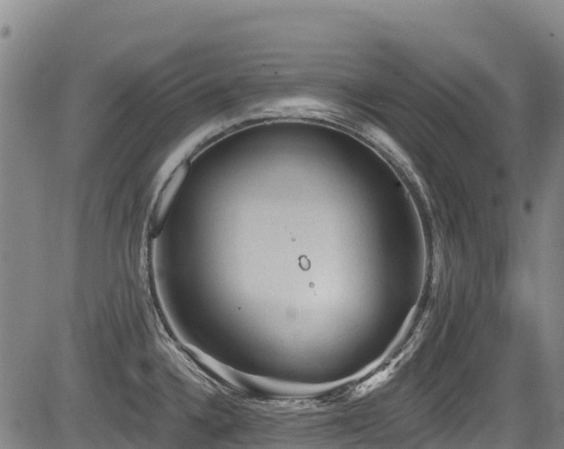 X0000084051336200702161457