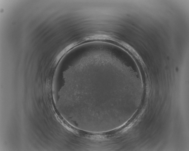 X0000084051337200702161457