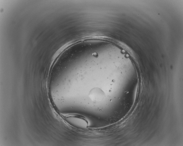 X0000084051338200702161457