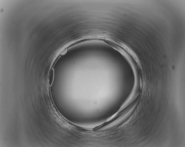 X0000084051340200702161457