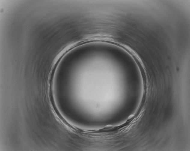 X0000084051341200702161457