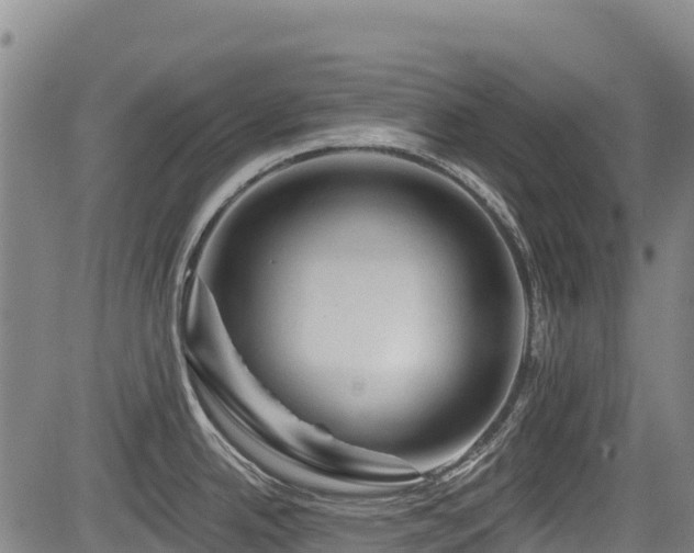 X0000084051342200702161457