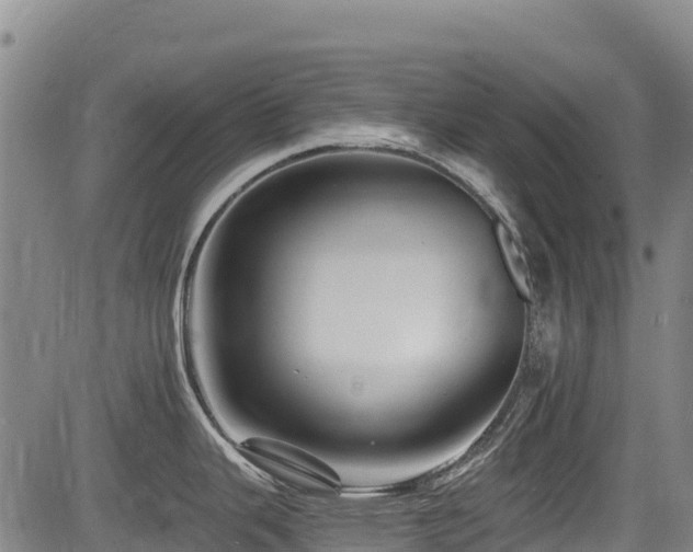 X0000084051343200702161457