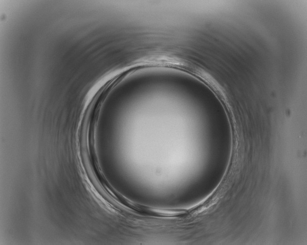 X0000084051344200702161457