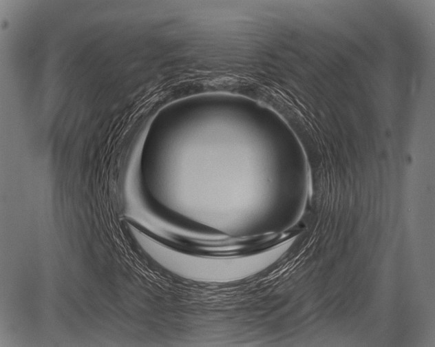 X0000084051345200702161457