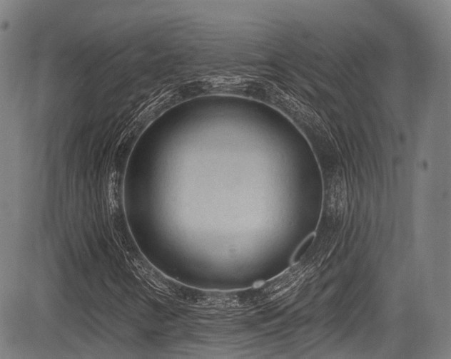 X0000084051346200702161457