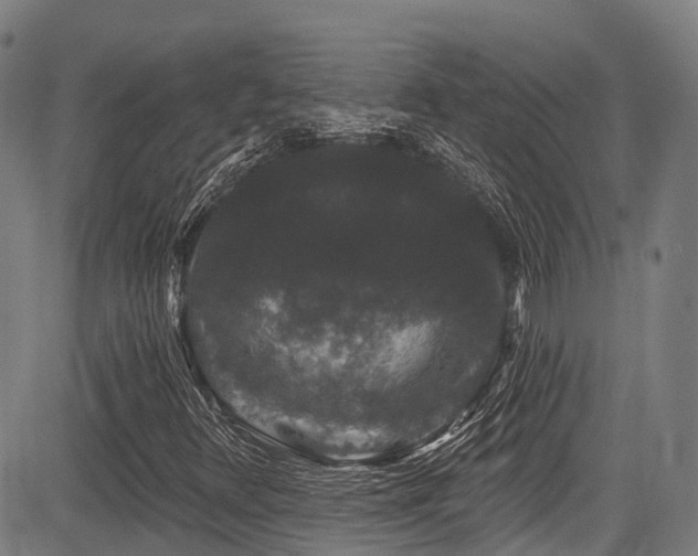 X0000084051348200702161456