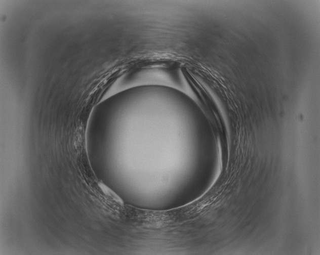 X0000084051349200702161456