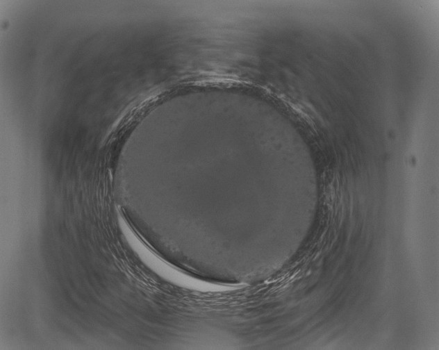 X0000084051351200702161456