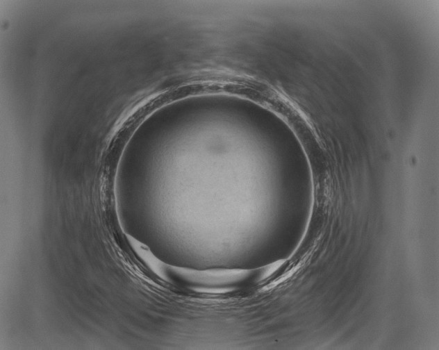 X0000084051352200702161456