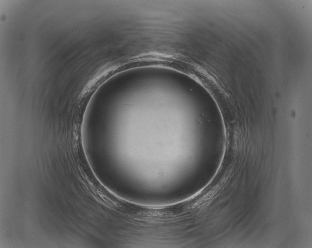 X0000084051355200702161456