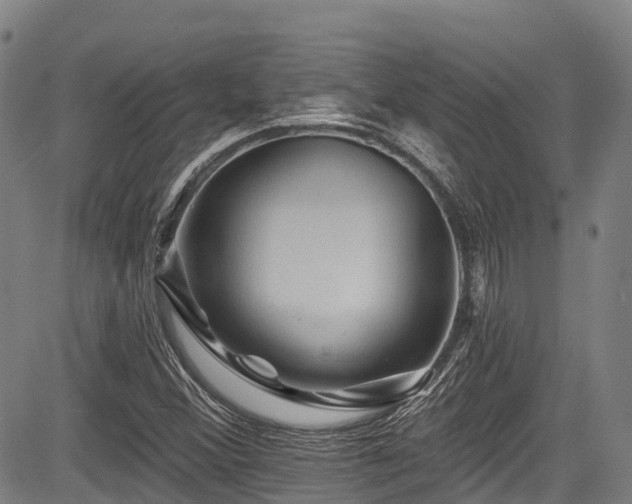 X0000084051356200702161456