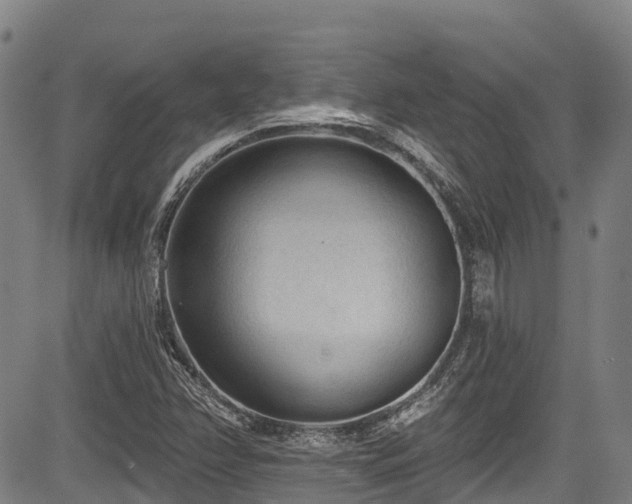 X0000084051358200702161456