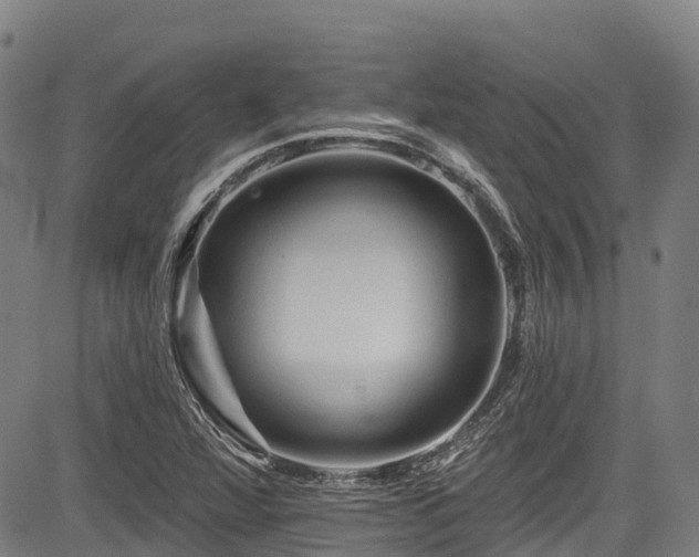 X0000084051360200702161456