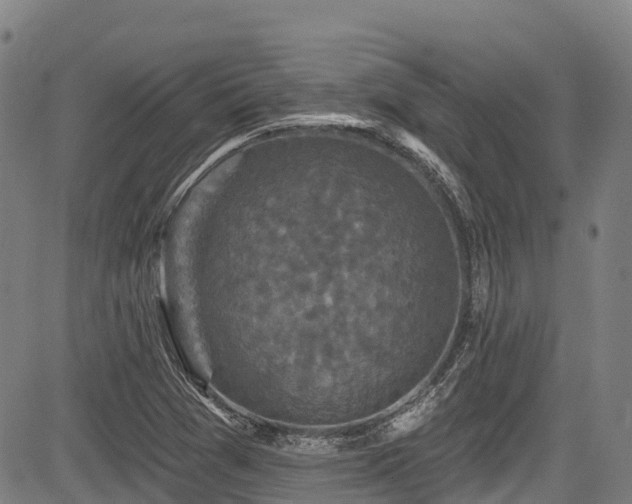 X0000084051361200702161456