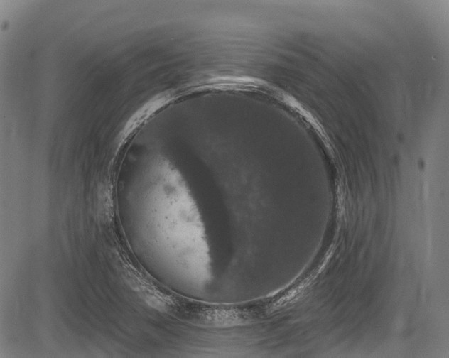 X0000084051362200702161456