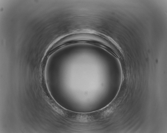 X0000084051364200702161456