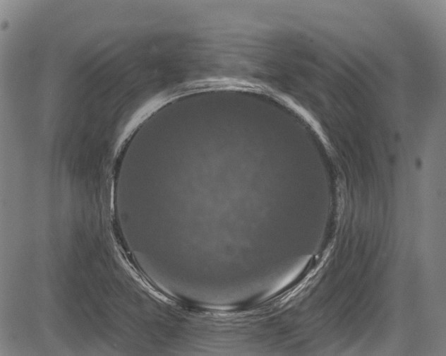 X0000084051365200702161456