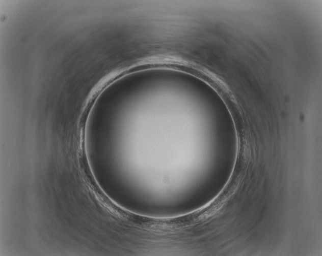 X0000084051366200702161456