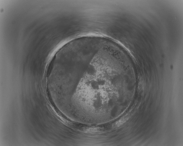 X0000084051367200702161456