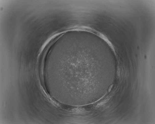 X0000084051368200702161456