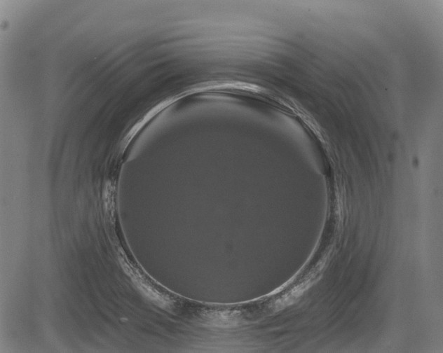 X0000084051369200702161456