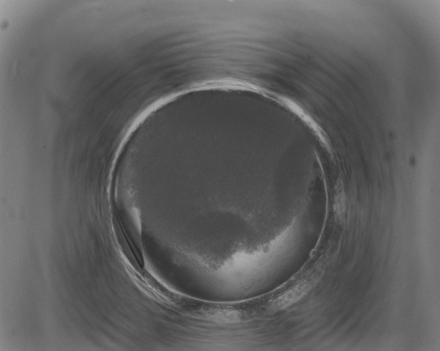 X0000084051372200702161456