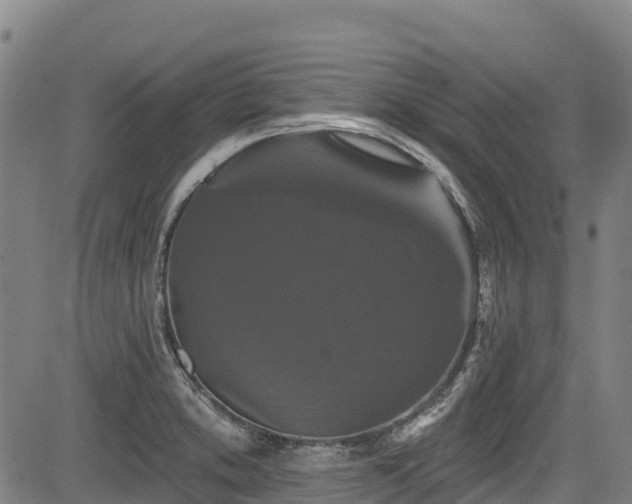 X0000084051373200702161456