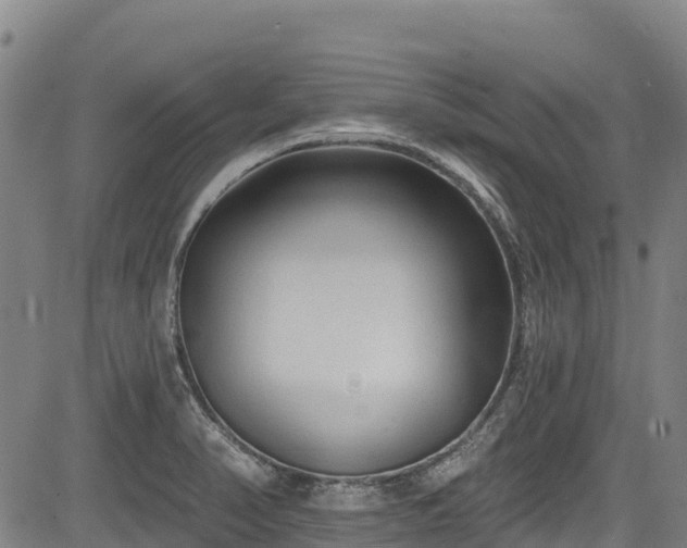 X0000084051374200702161456