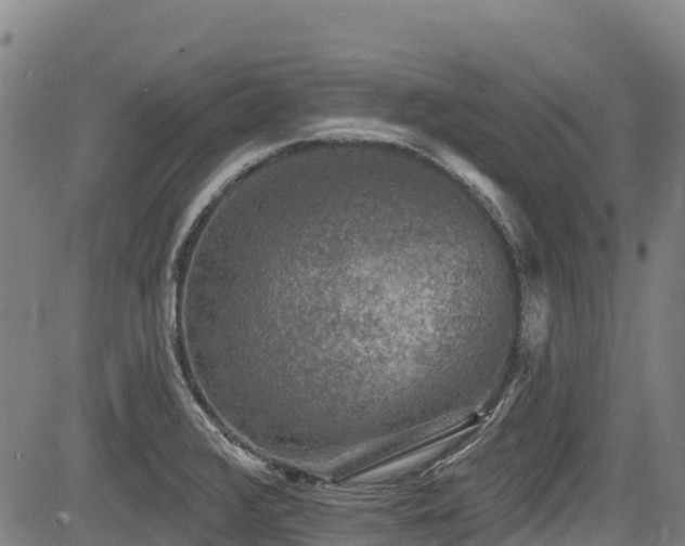 X0000084051376200702161456