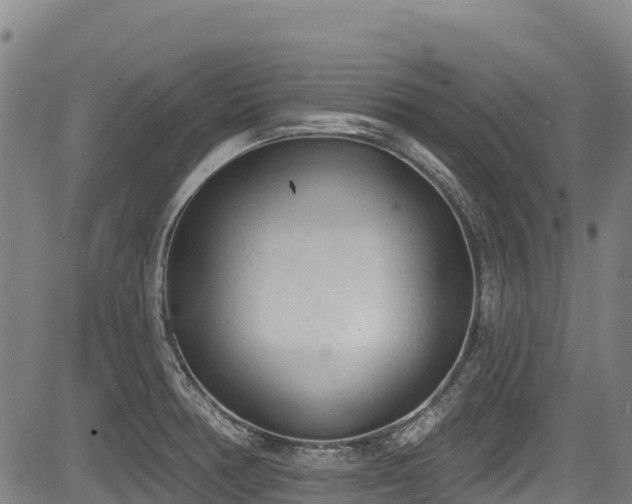 X0000084051378200702161456