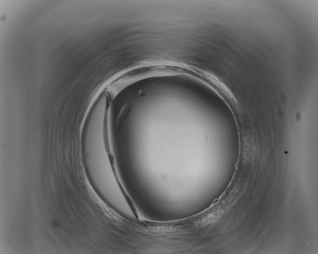 X0000084051380200702161456