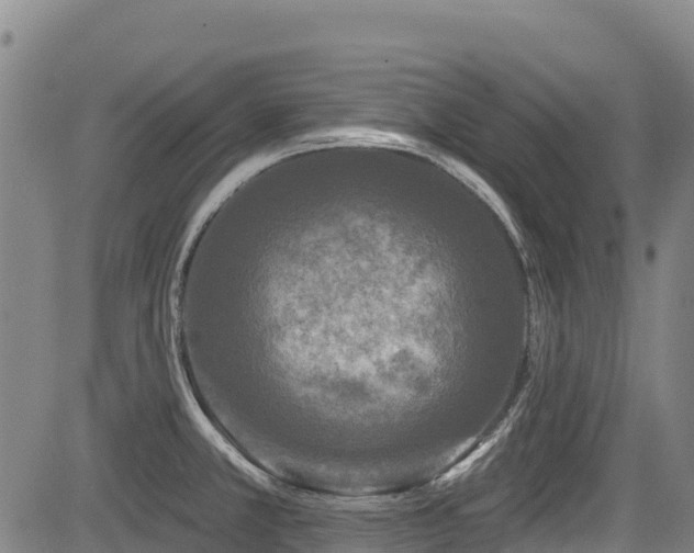 X0000084051381200702161456