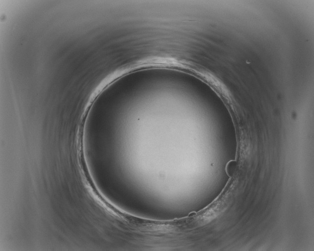 X0000084051382200702161456